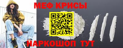 ешки Кингисепп