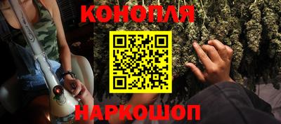 ешки Кингисепп
