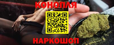 ешки Кингисепп