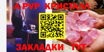 ешки Кингисепп